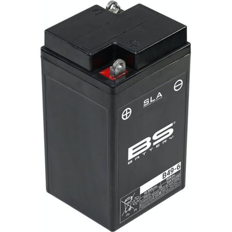Batterie B49-6 BS BATTERY SLA sans entretien activé usine