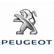 PEUGEOT Batterie Auto - Une Gamme complète pour les Auto PEUGEOT